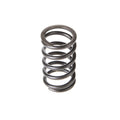 Valve Spring