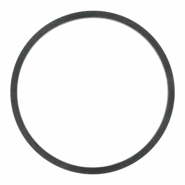 Air Cleaner Mounting Gasket - 71-14421-00