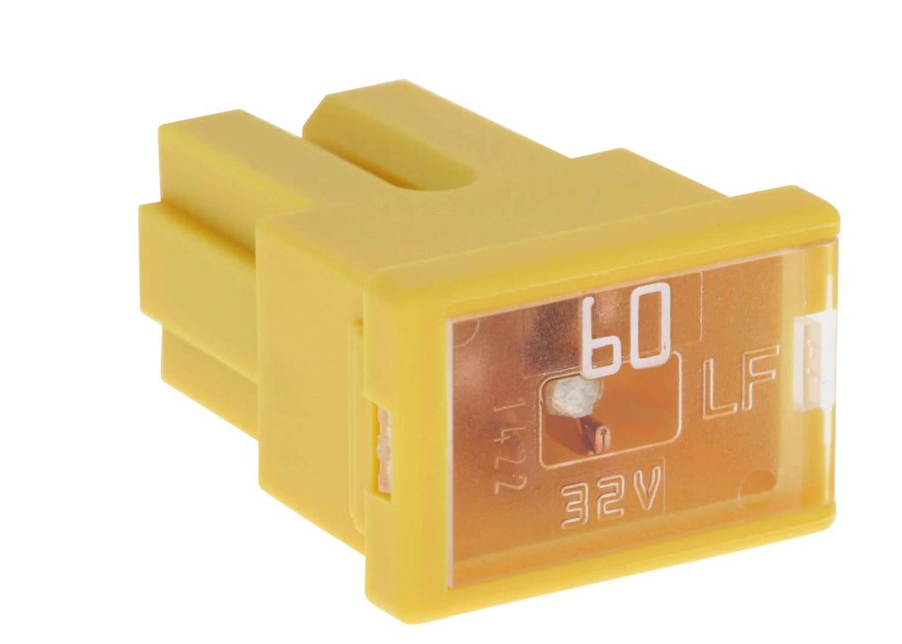 PAL FEMALE TERM 60A
