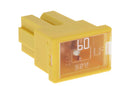 PAL FEMALE TERM 60A