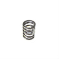 Valve Spring
