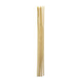 ROASTING STICKS