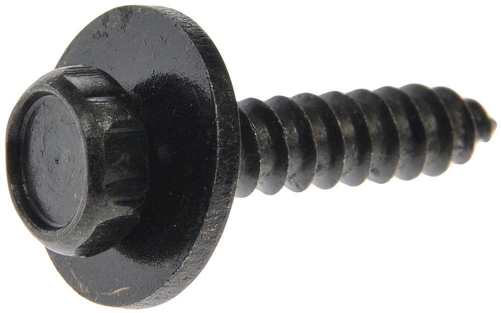 BODY BOLT