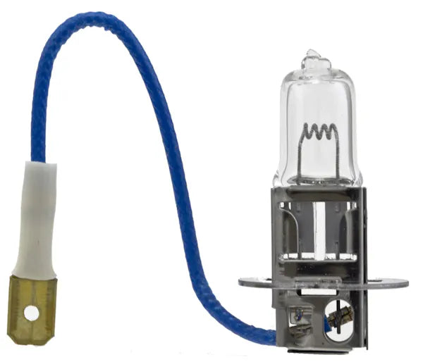 BULB H3 DP 24V 70W PK22S