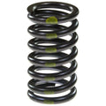 Valve Spring