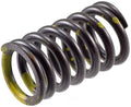 Valve Spring