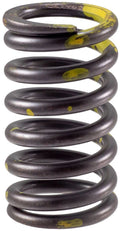 Valve Spring
