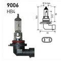 BULB 9006/HB4 12V 55W P22D T4