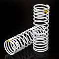 TRAXXAS springs