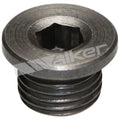 OXYGEN SENSOR BUNG PLUG