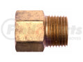 BRASS PIPE ADAPTER