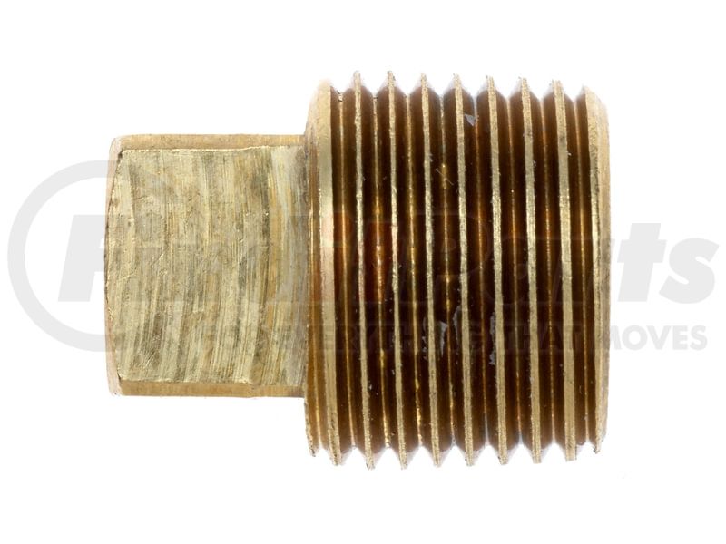 Gates 6MPB-PLUG SQ HEAD