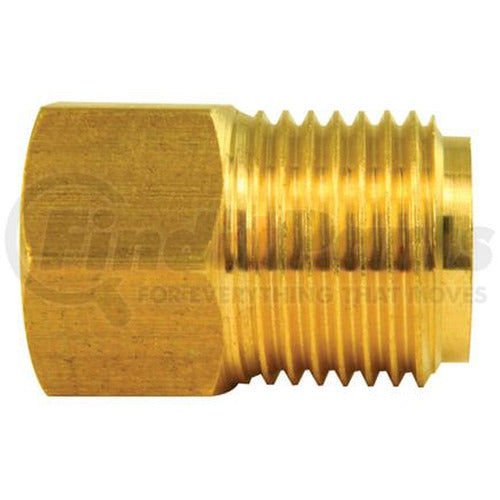 ADAPTER BRASS FEMALE(1/