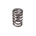 Valve Spring
