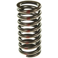 Valve Spring