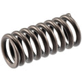 Valve Spring
