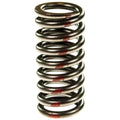 Valve Spring