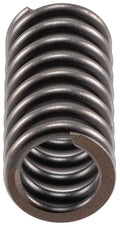 Valve Spring