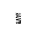 SEALED POWER springs detail