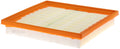 FLEX PANEL AIR FILTER 2PK