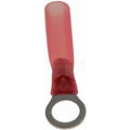 TERM RING WP 2218 #10