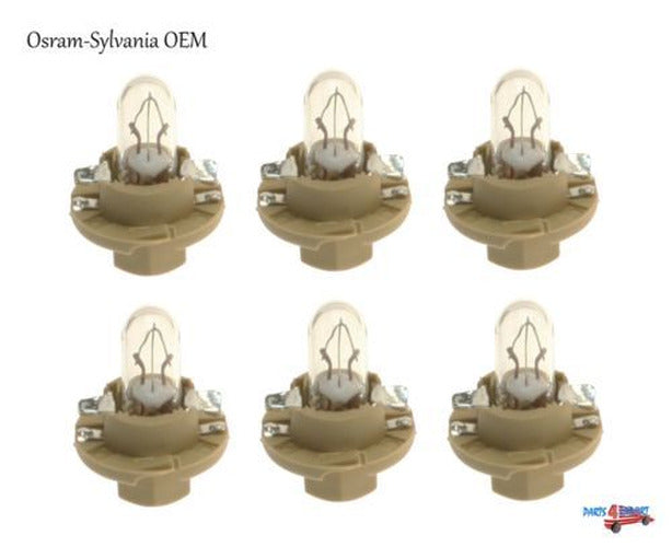 (S)SOCKET