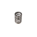 Valve Spring