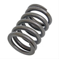 Valve Spring