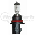 BULB 9004/HB1 12V 100/80W PX29T SB