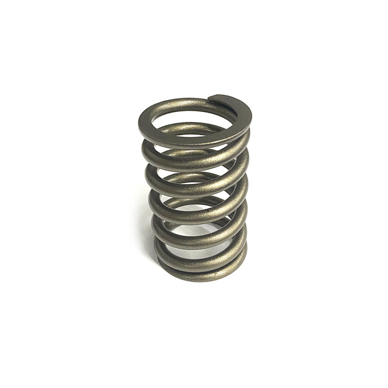 SEALED POWER springs