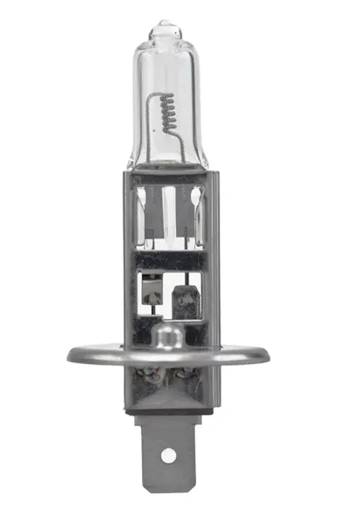 BULB H1 DP 24V 70W P14.5S