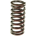 Valve Spring