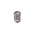 Valve Spring