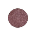3M PSA CLOTH DISC 348D 8 IN X NH