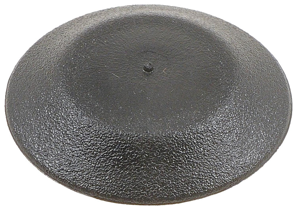PLUG BUTTON