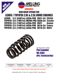 Valve Spring