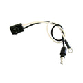 LED PLUG