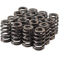 VALVE SPRINGS-50 PIECES PER BOX