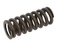Valve Spring