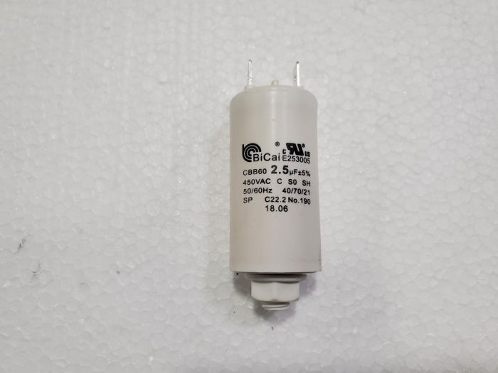 CAPACITOR