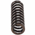 Valve Spring
