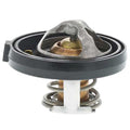 MOTORAD auto part