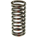 Valve Spring
