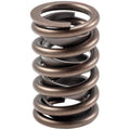 VALVE SPRINGS50 PCS PER BOX
