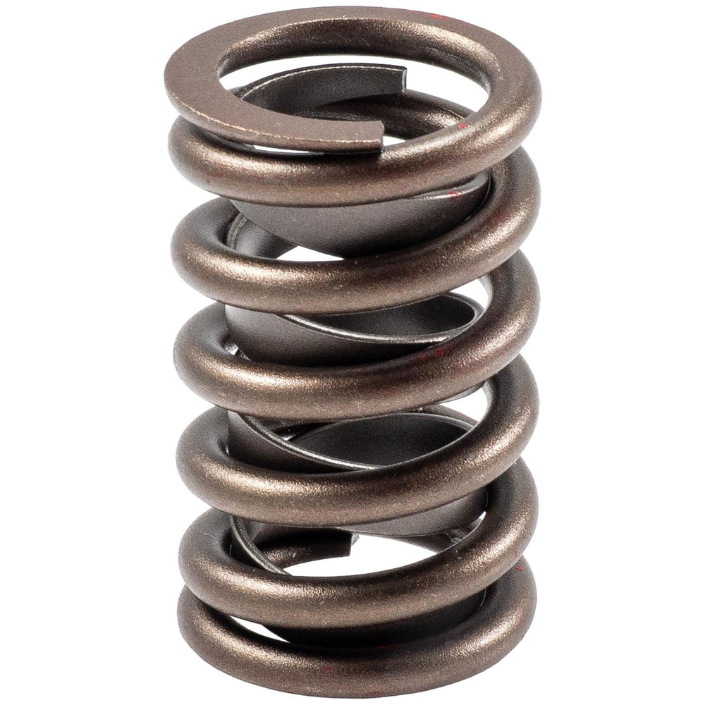 VALVE SPRINGS50 PCS PER BOX