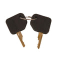 D250 ENCAPSULATED KEY SET ON A RING