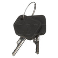 D250 ENCAPSULATED KEY SET ON A RING