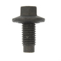 OIL DRAIN PLUG