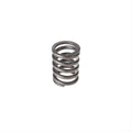 Valve Spring