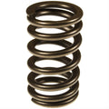 Valve Spring